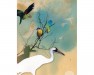 Birding