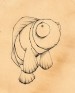 Ari the Clownfish
