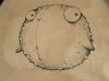 Corky the Blowfish