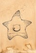 Dudel the Starfish