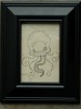 Hank the Jellyfish