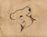 Wayne the Hammerhead