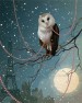Owl With Beads