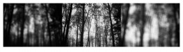 Still #5 - Landscape Quartet IV
