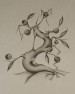 Dragon Bonsai