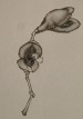 Pods